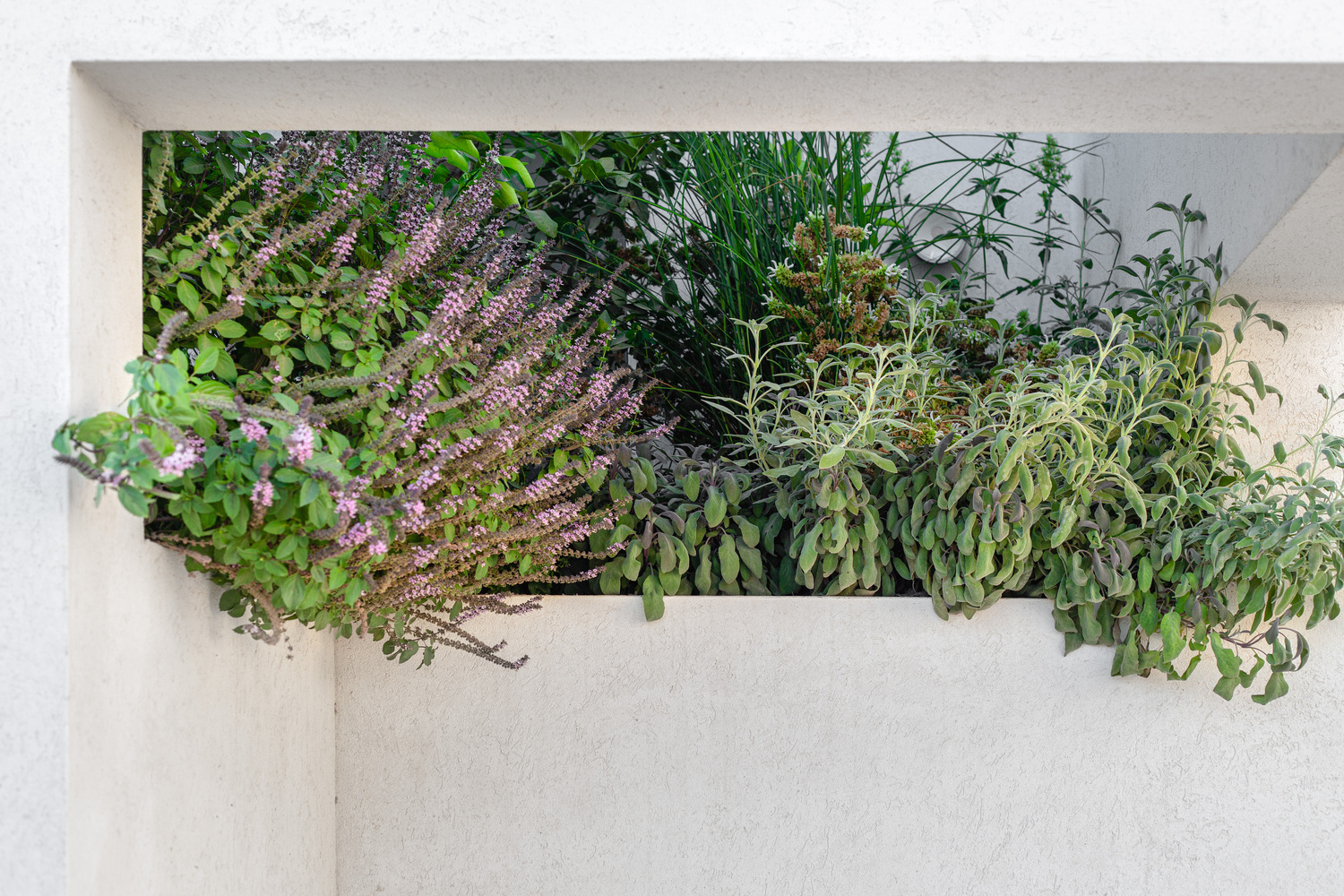 以色列 Goldwasser 别墅丨Architextit Einat ErezKobiler-42