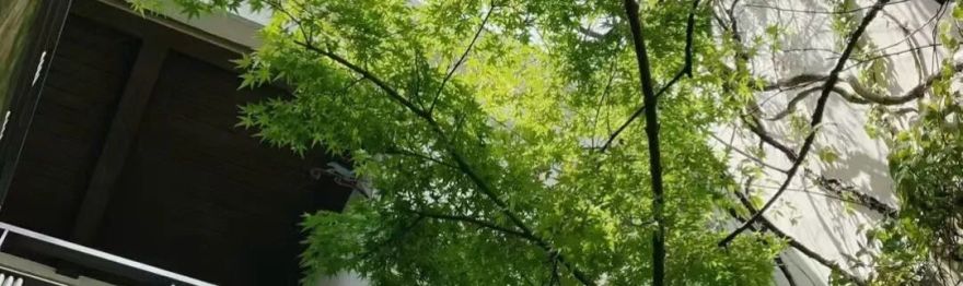 AODESIGN概念|西郊豪庭-0