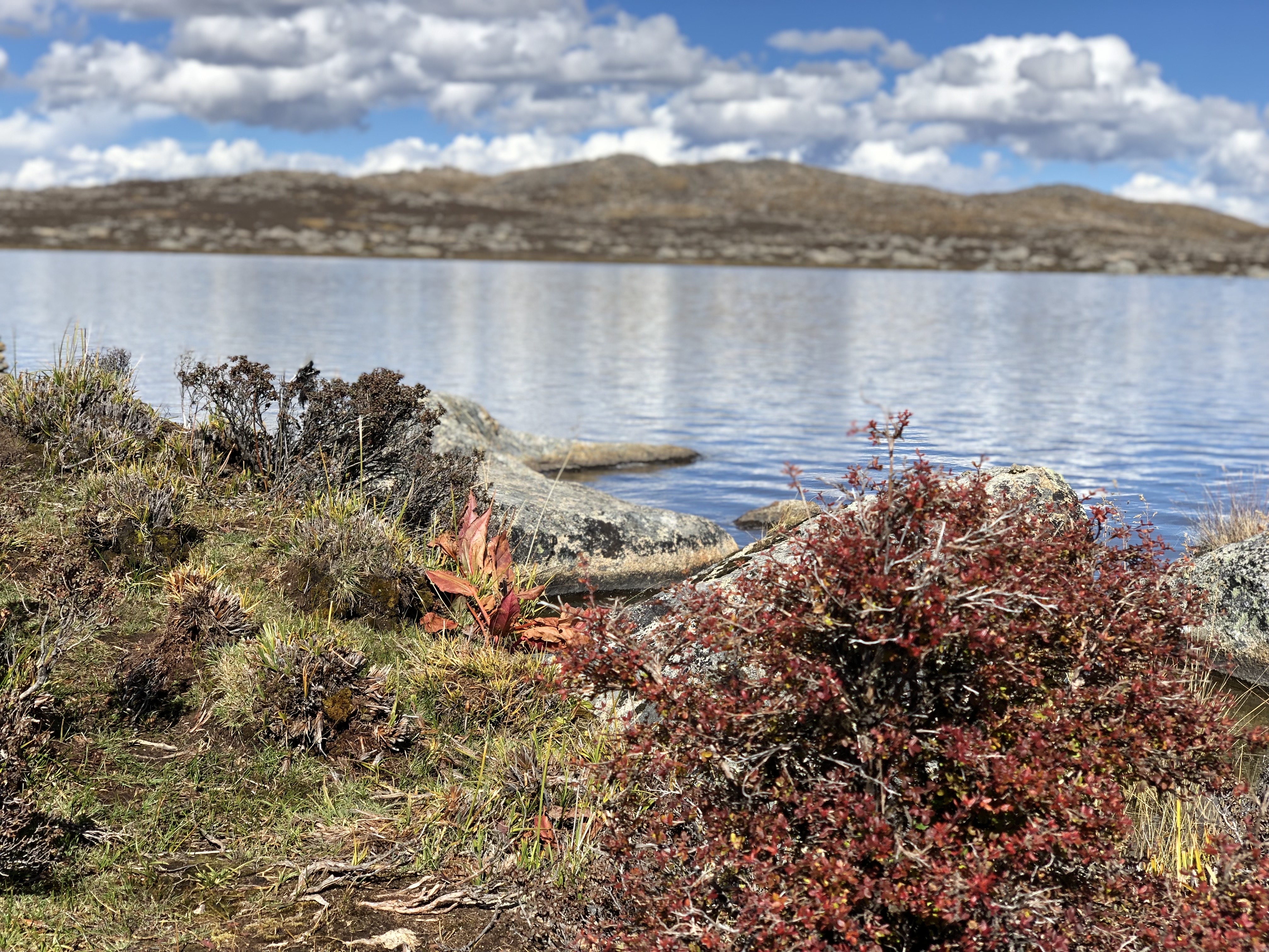 川西大环线相关设计项目（推测）丨也门亚丁-14