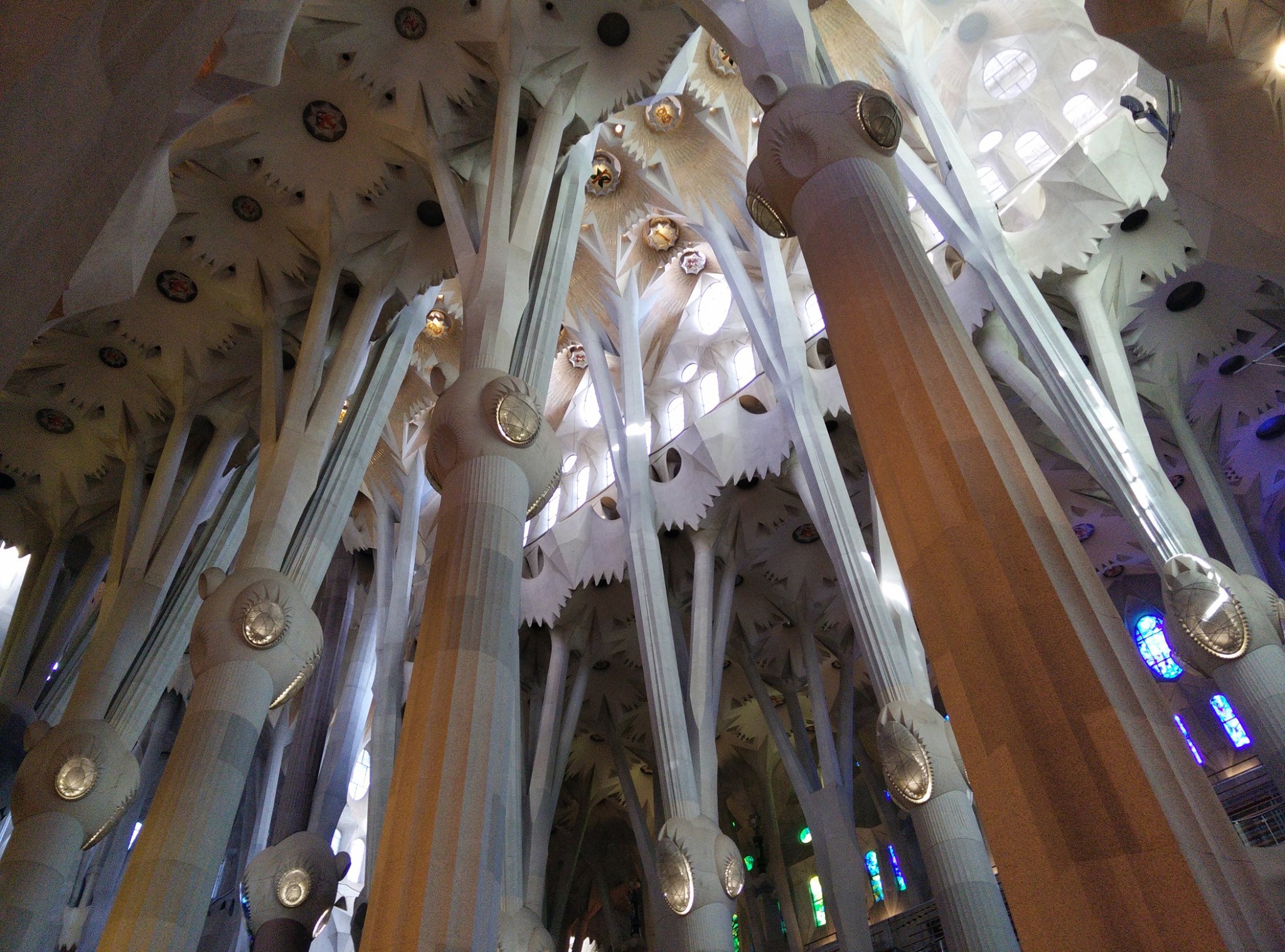 Barcelona, Spain(2020)-27