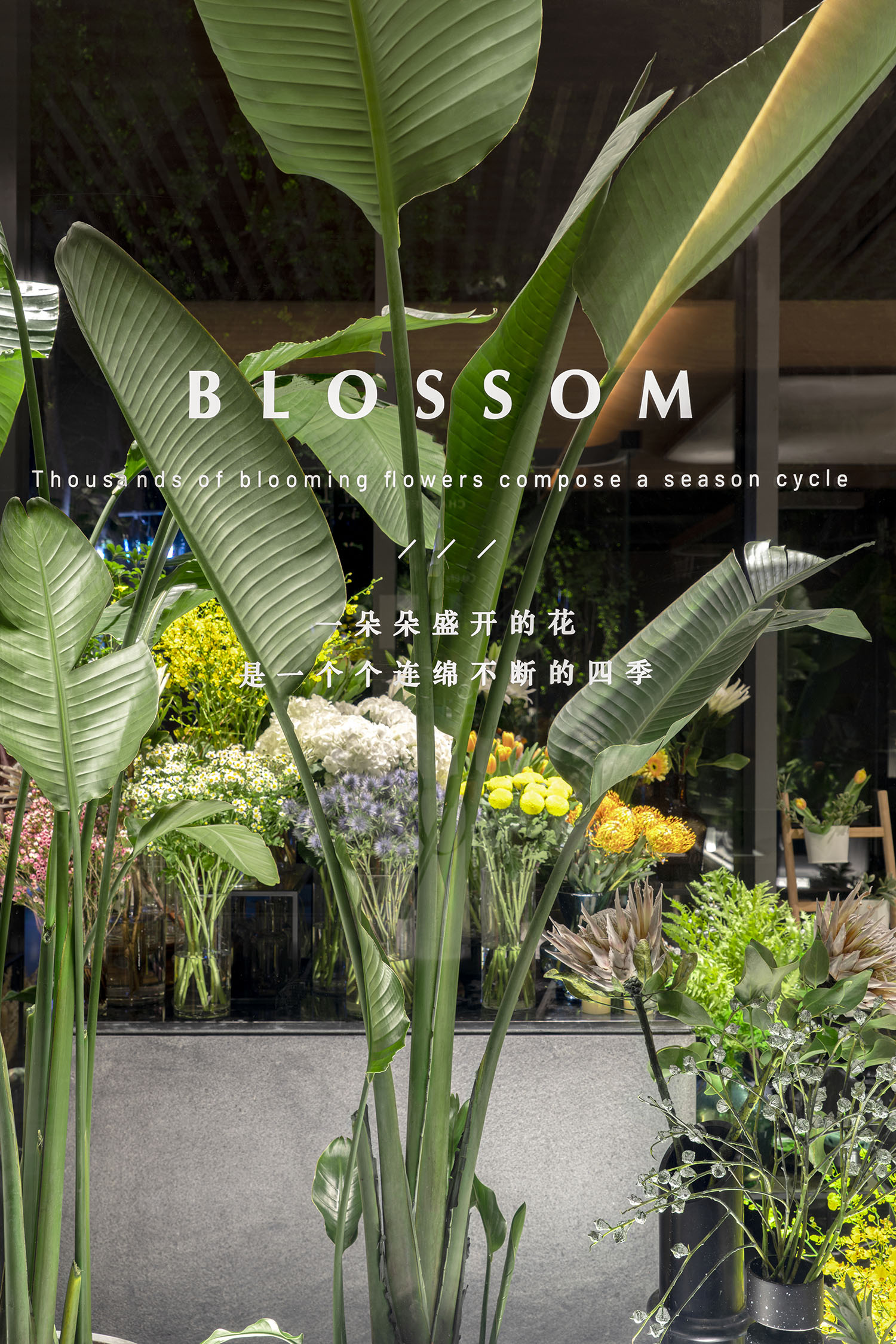 峻佳设计 | 杭州万科开了一家雨林中的餐厅,成新晋网红地!-33