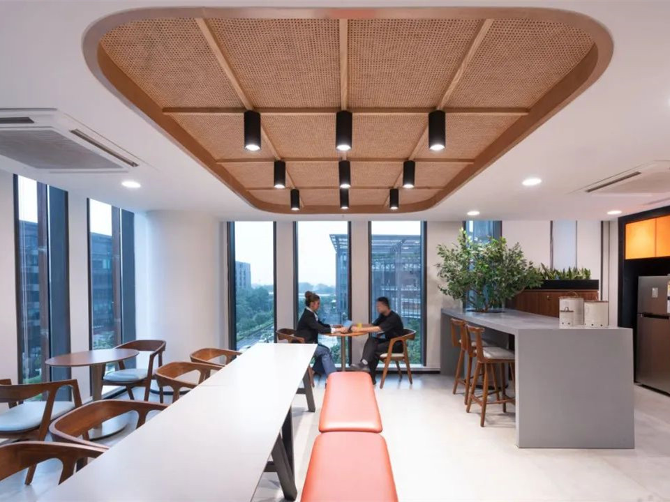 印度瑞士宝盛财富管理集团办公空间丨Space Matrix 团队-2