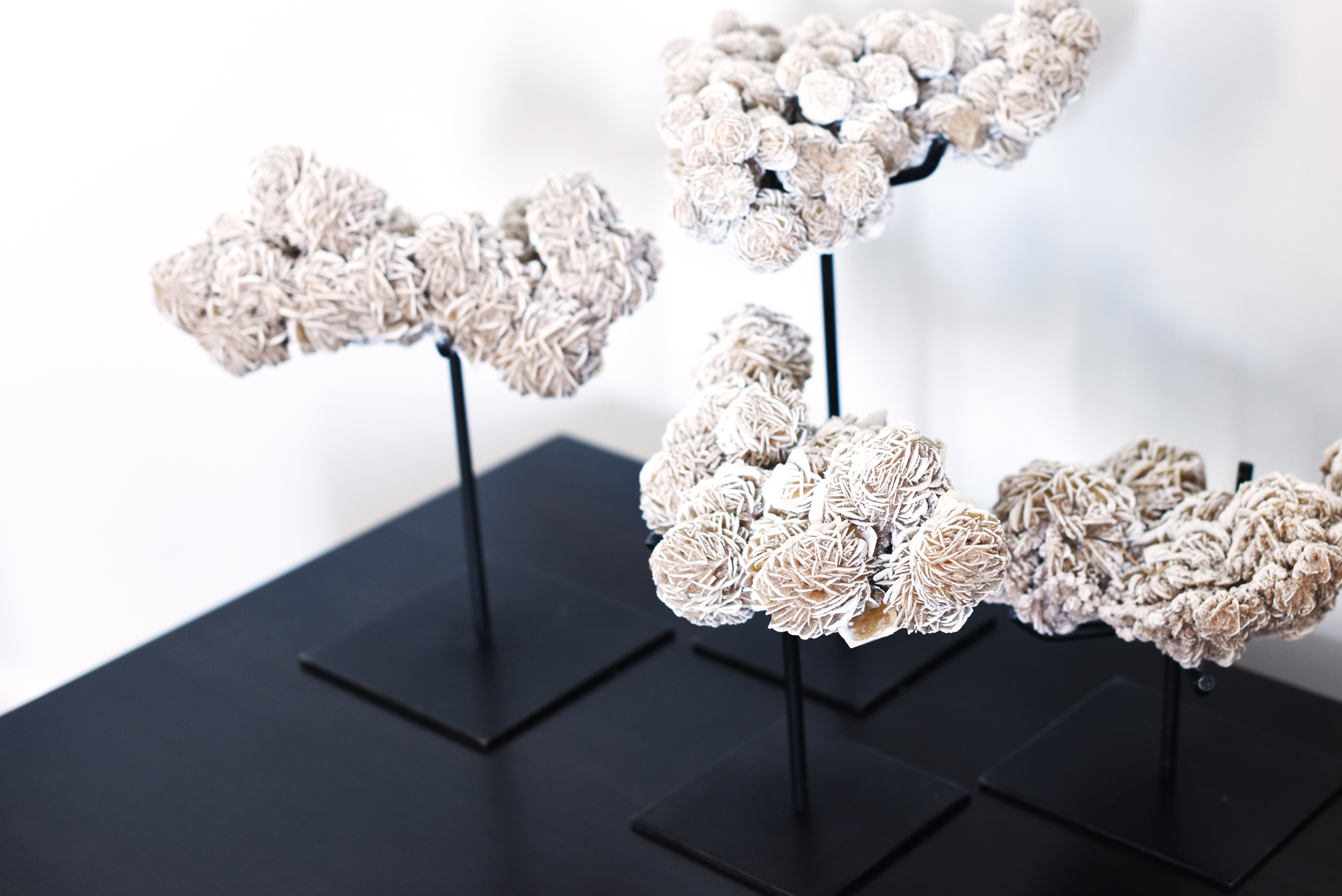 BEACHSIDE HOME Denton House-12