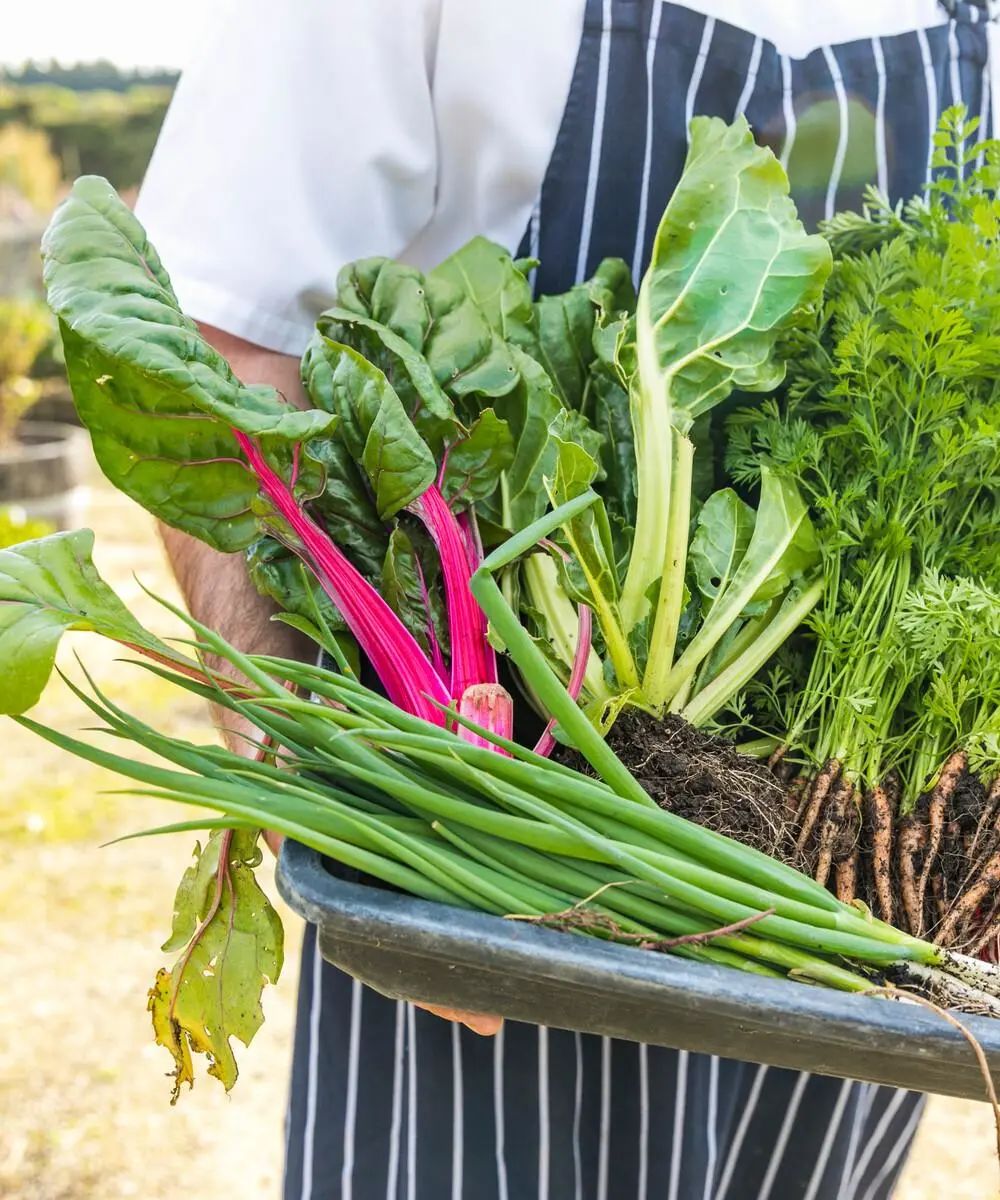 野花农场度假村丨美国纽约丨Auberge Resorts Collection-78