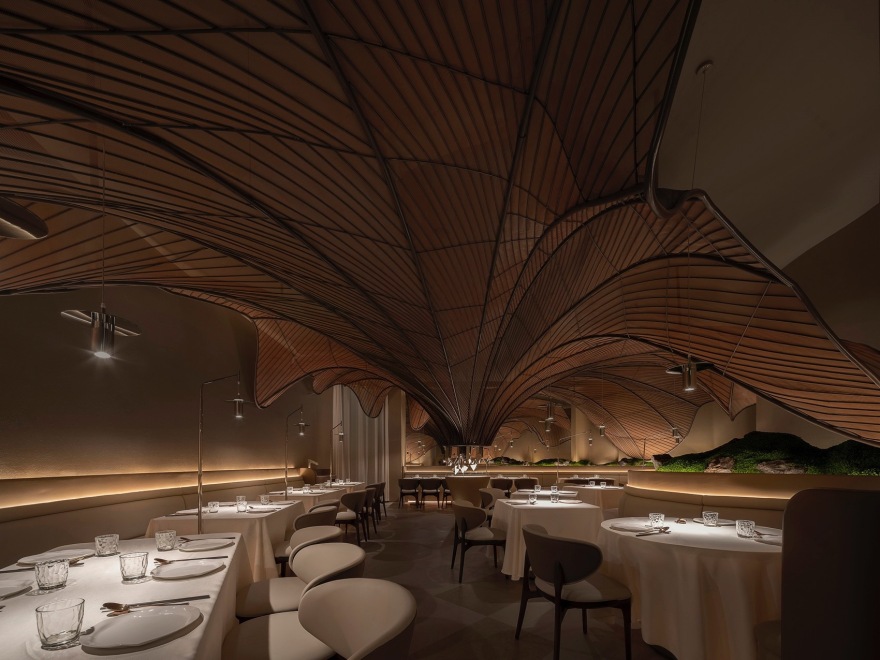 Tang`Talk 唐采丨中国太原丨浆果设计研究所-8