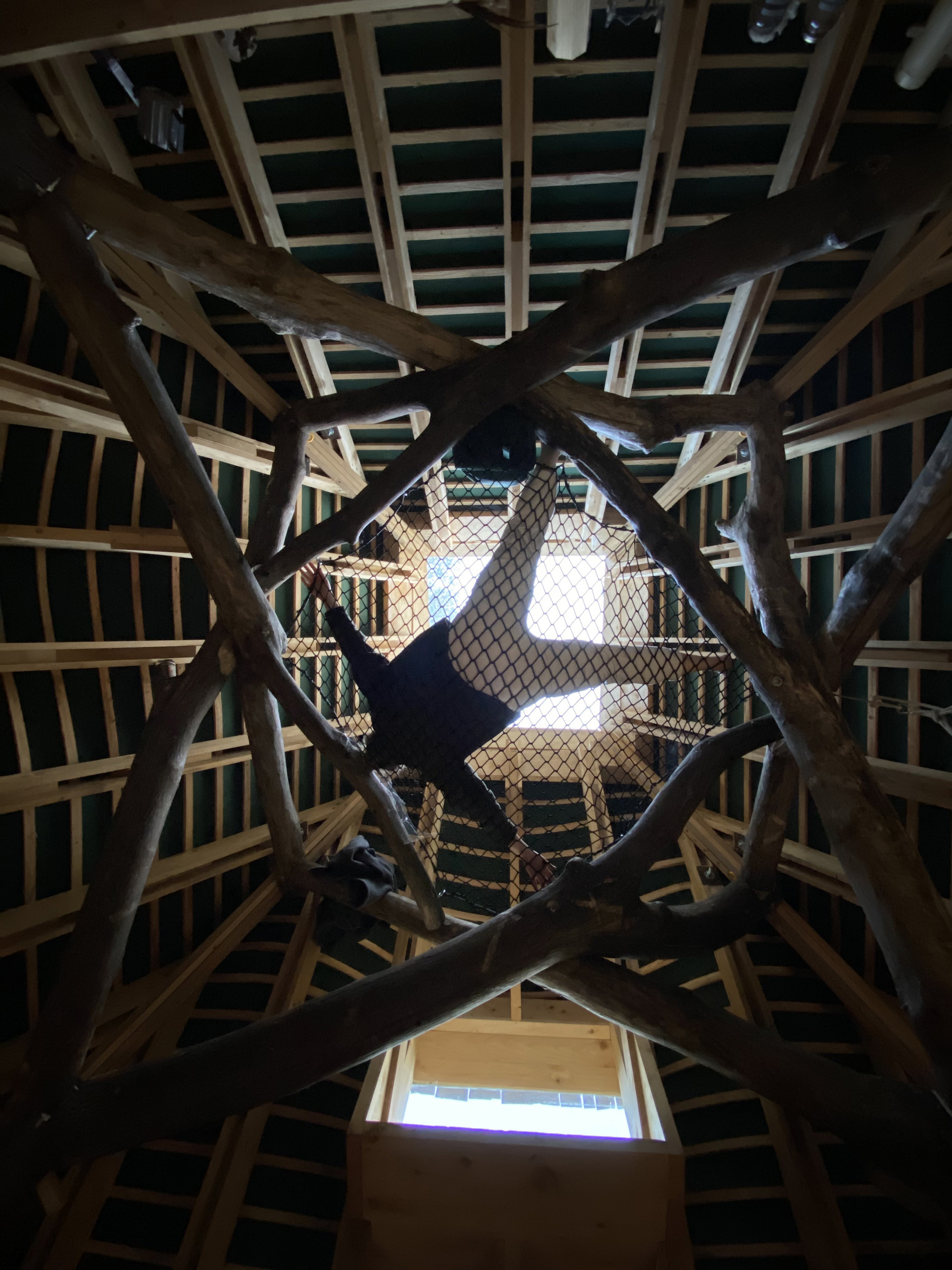 林地小屋丨英国丨AA Design and Make-33