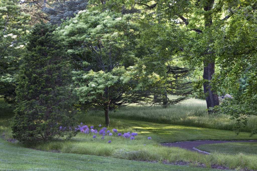 丨美国宾夕法尼亚-17