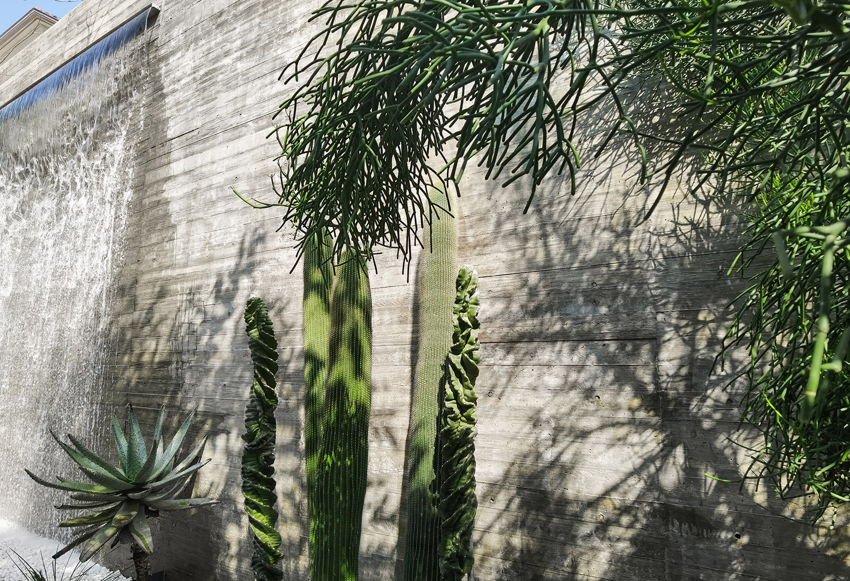 阿那亚三亚南花园丨中国三亚丨Z’scape致舍景观-300