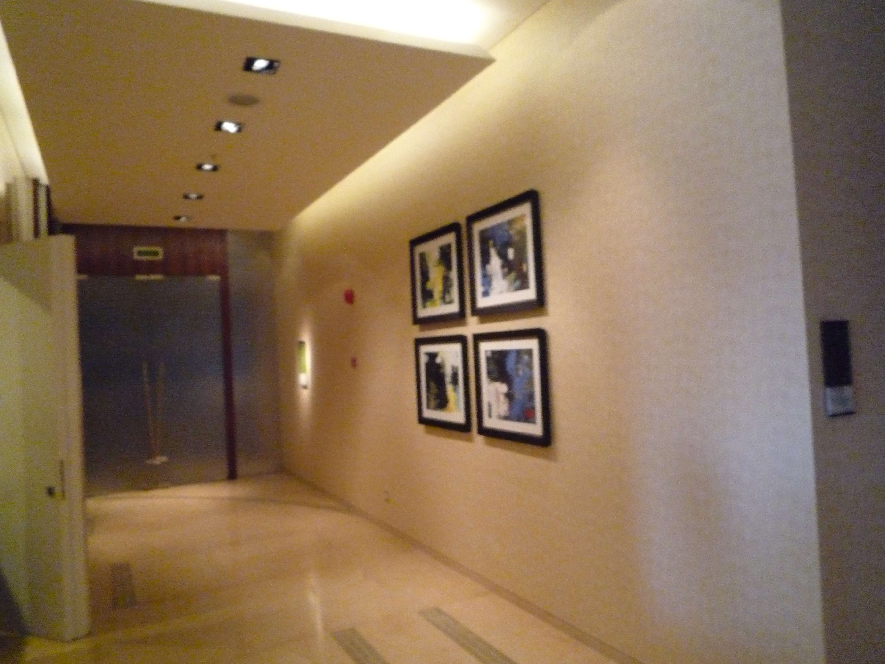 HBA  深圳丽思卡尔顿酒店   -3-18