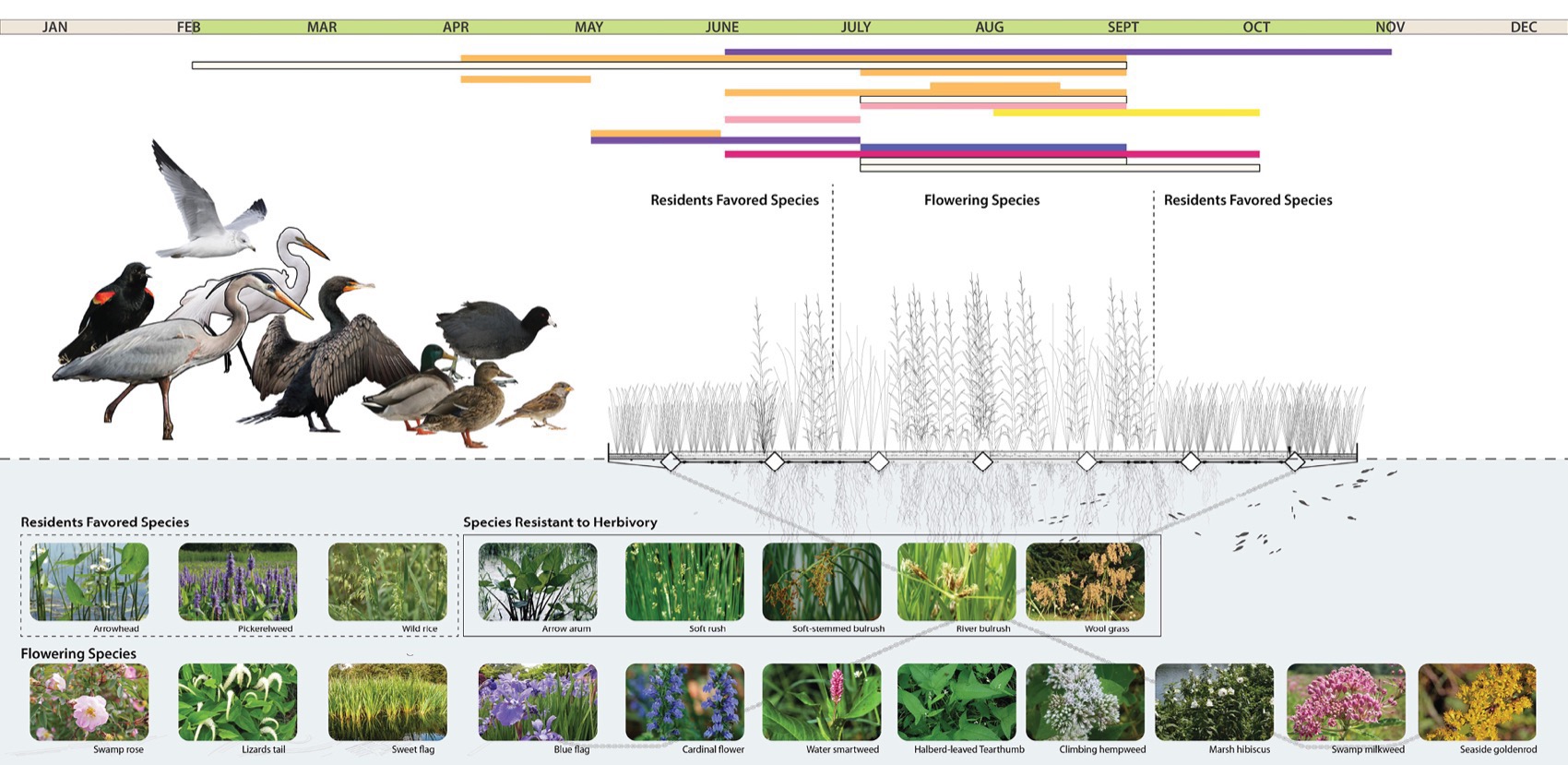 7号码头公园与休闲码头丨美国华盛顿-35
