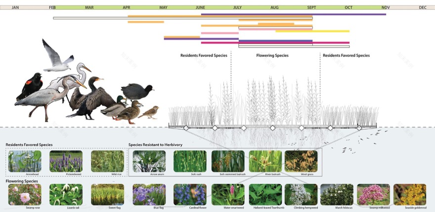 7号码头公园与休闲码头丨美国华盛顿-35