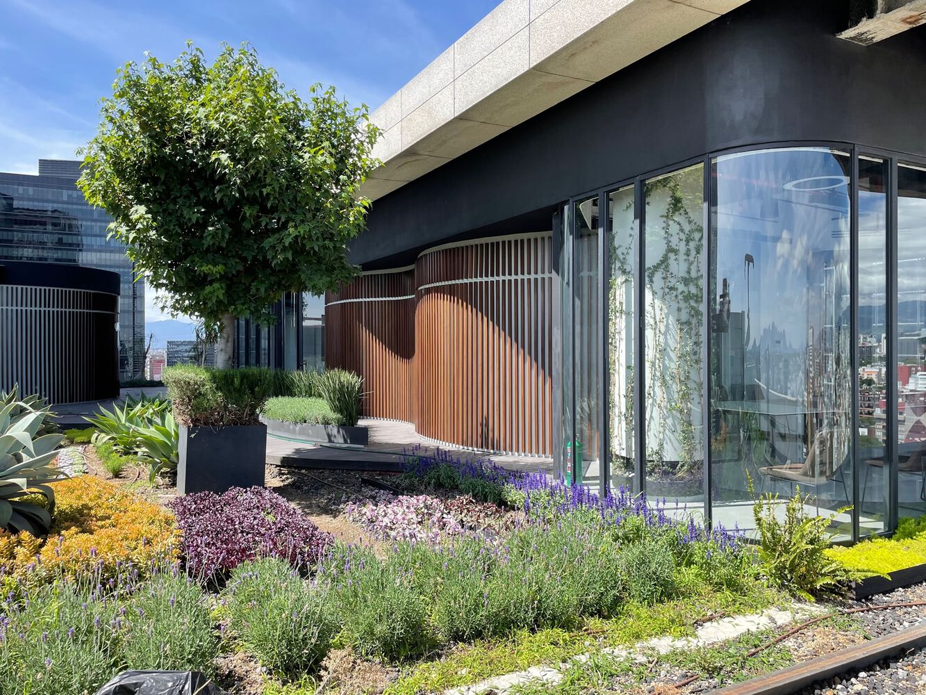 金融科技 TK 办公室丨墨西哥墨西哥城丨QARQ-9