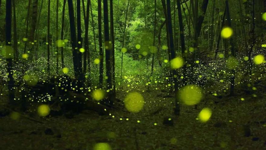 杭州乐禧乐熹酒店 | 禅意美宿,自然之美与设计的完美结合-14