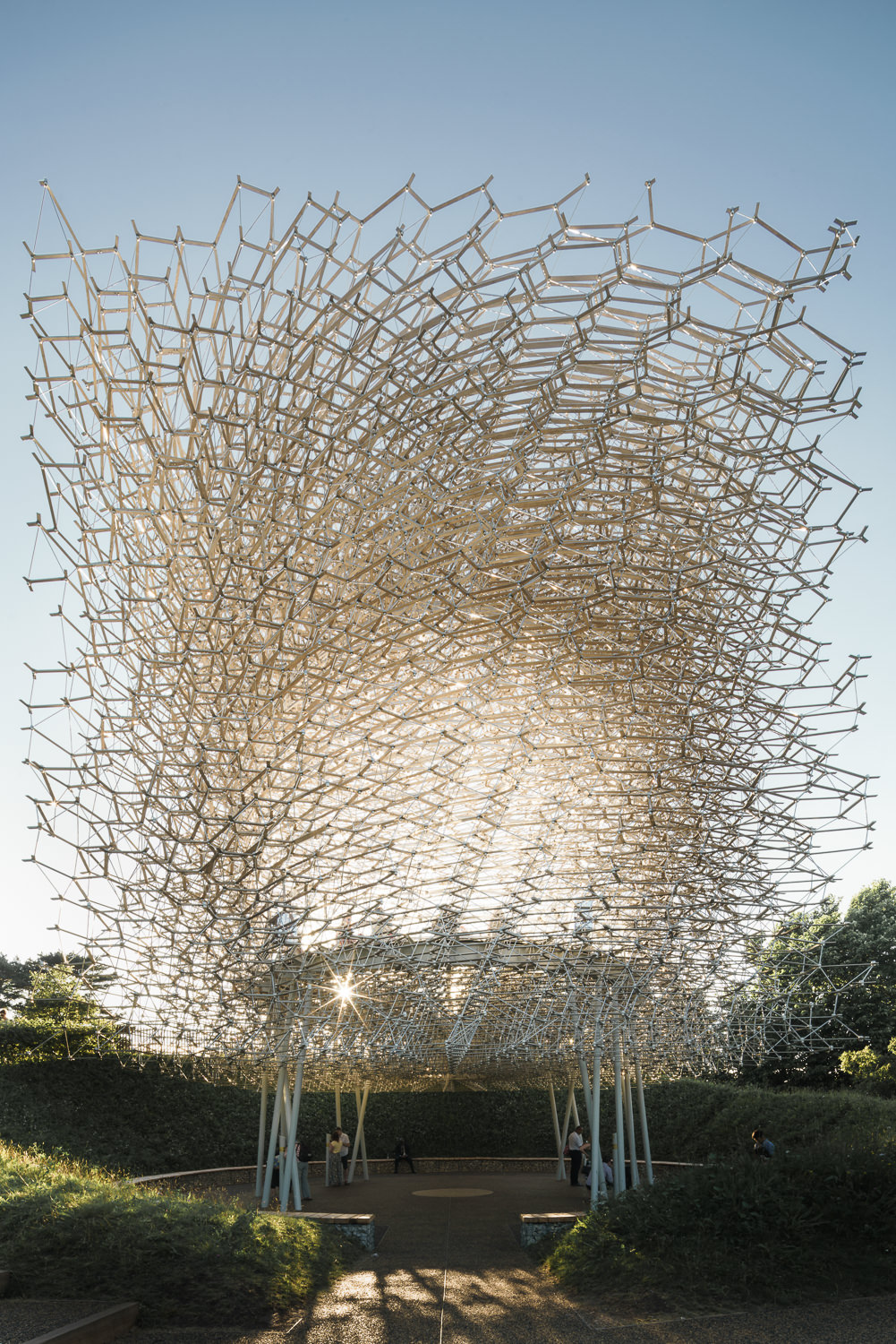 梦幻之境 · Wolfgang Buttress 的“蜂巢”-60