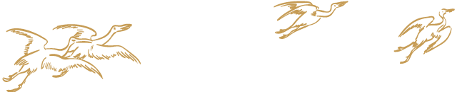 《远黛》 | 新中式风格,原木温暖,青蓝雅致,空间通透-1