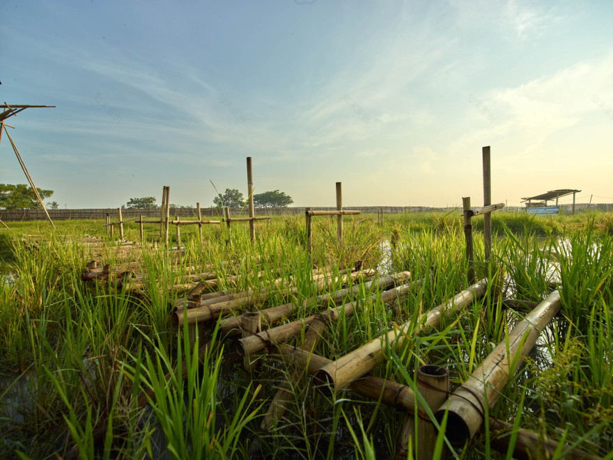 School of Alfa Omega RAW Architecture-109