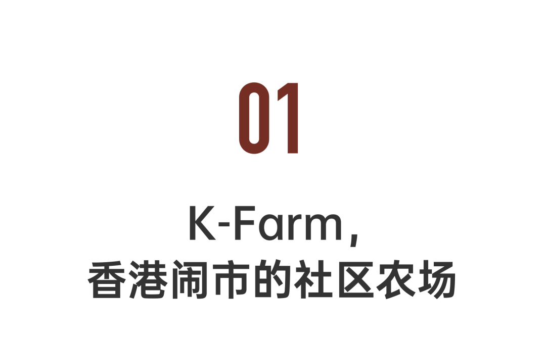 香港KFarm · 高科技农场的绿色奇迹丨中国香港丨陈启豪等-13