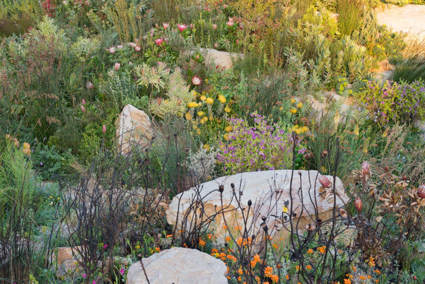 2018 Trailfinders南非葡萄酒庄园展示花园丨Jonathan Snow-6