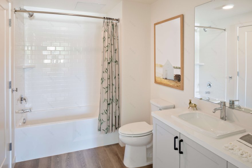 丨美国加利福尼亚-71