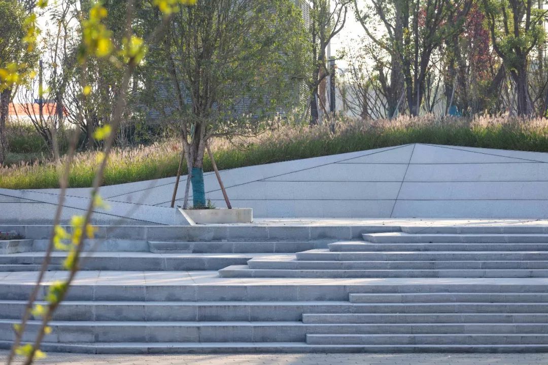 两江悦来生态城中心广场 | 海绵城市设计典范-128