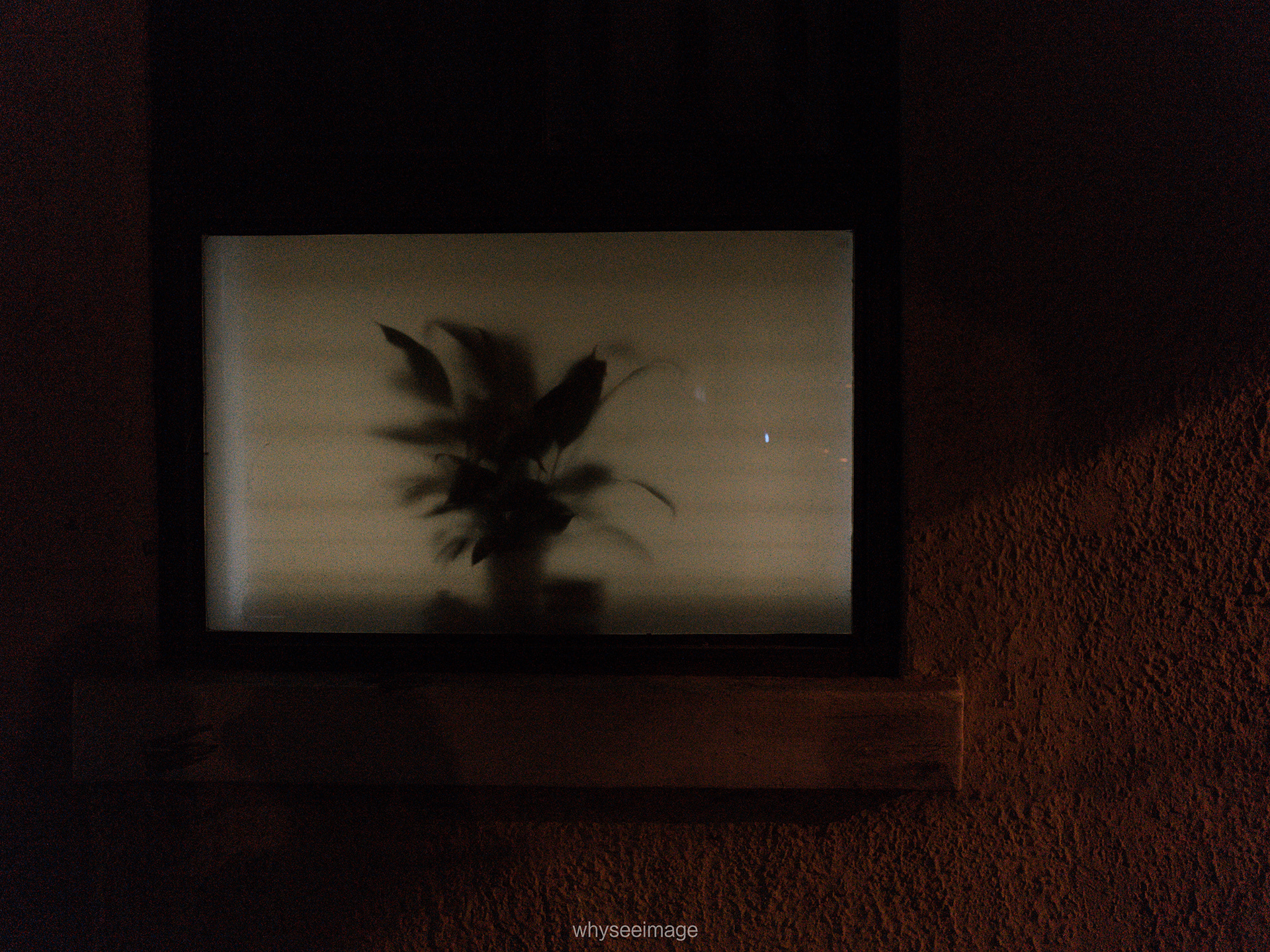 明亮时刻 · 不如回到街头丨中国上海丨whyseeimage-66