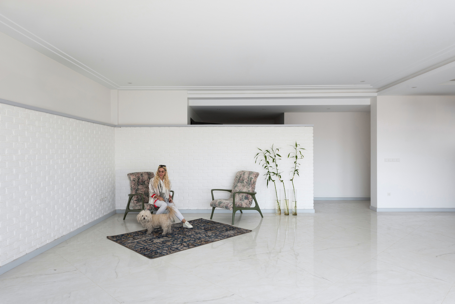 伊朗拉瓦桑的私密公寓设计-19