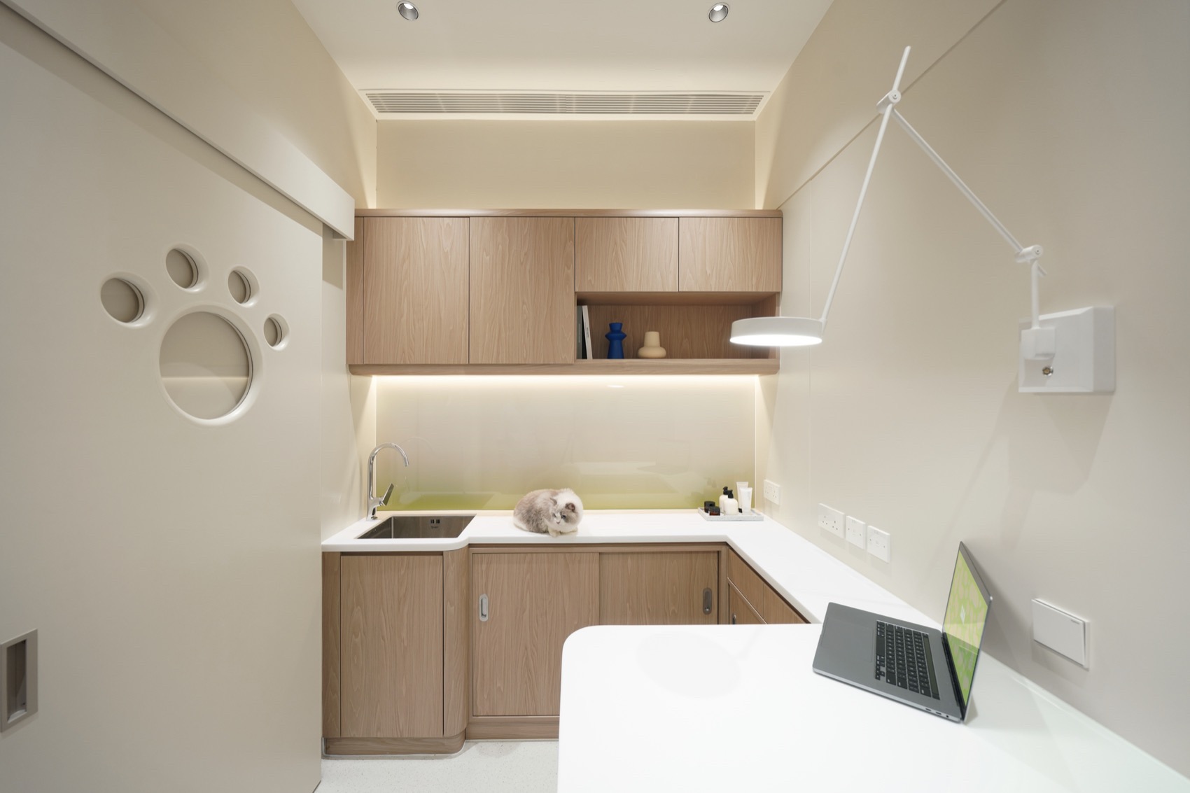 SAA动物医疗中心丨中国香港丨峻佳设计-72