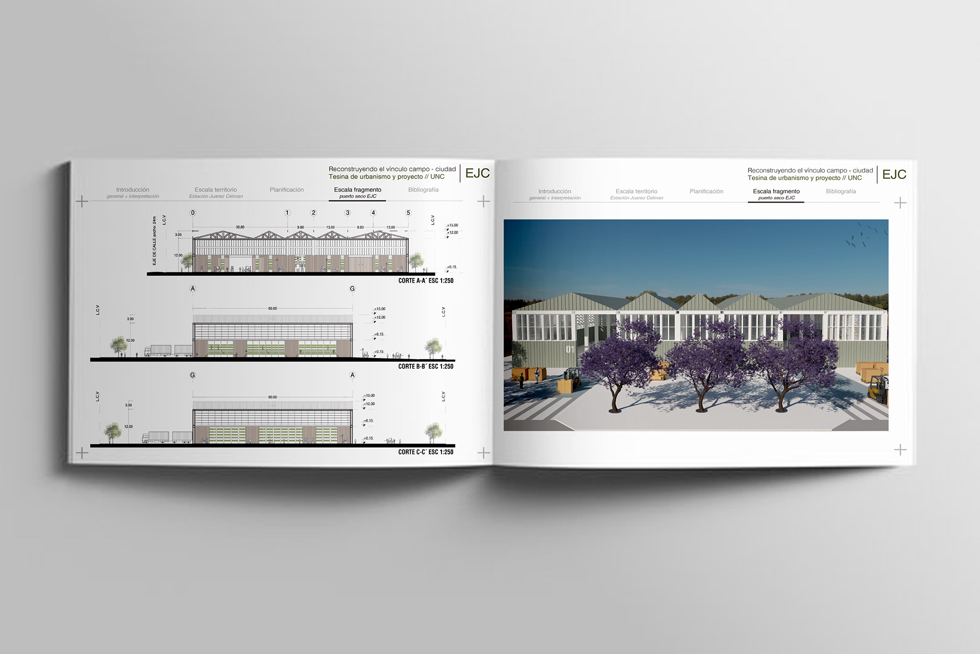 Tesis de grado 2025-9