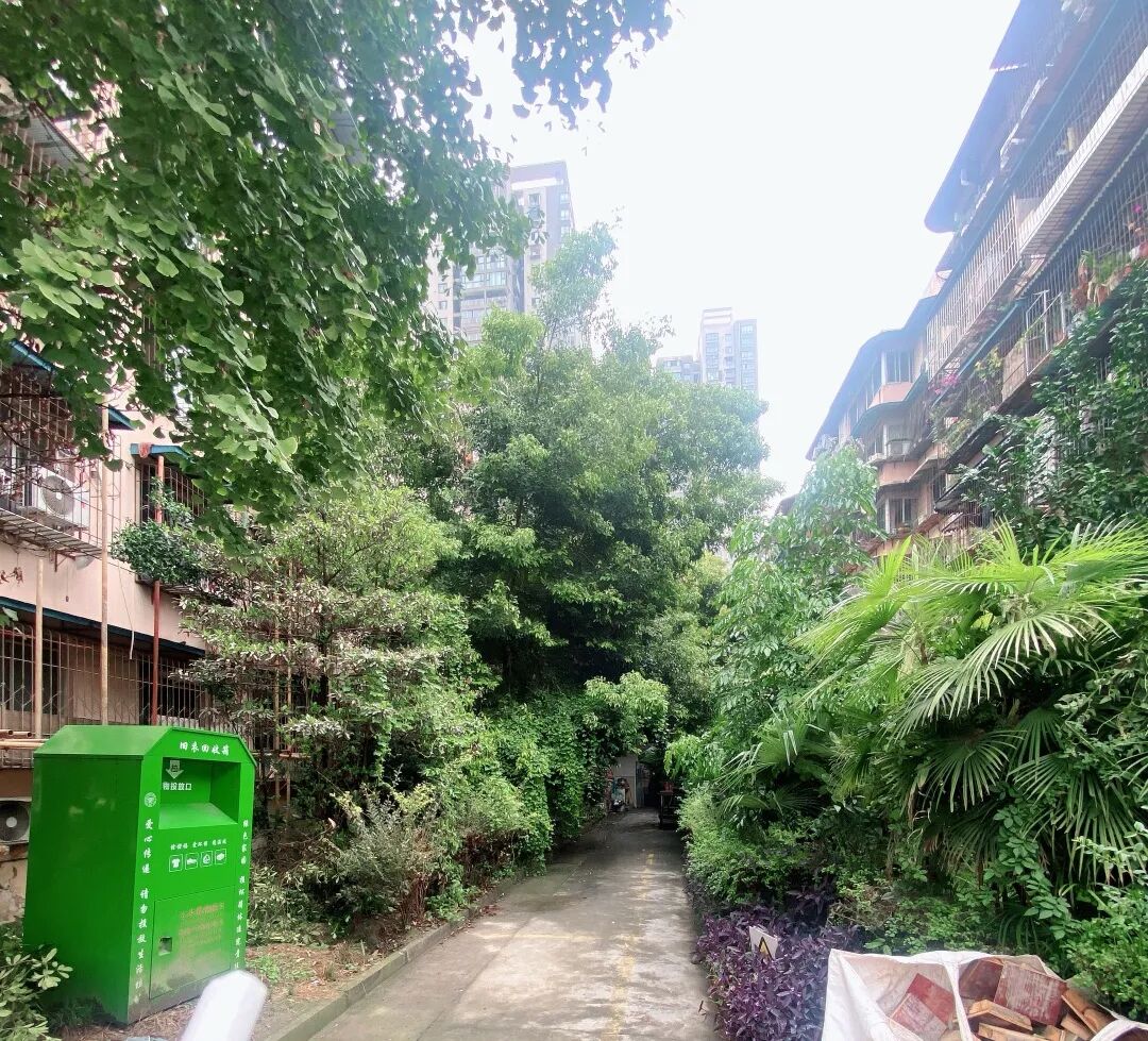 机器人加入锦江区老旧院落改造→“筑”力小区焕发新生-26