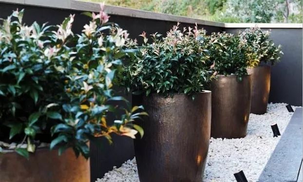 可移动的花园-22