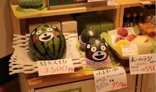 火山脚下的童话农场：阿苏农场-66