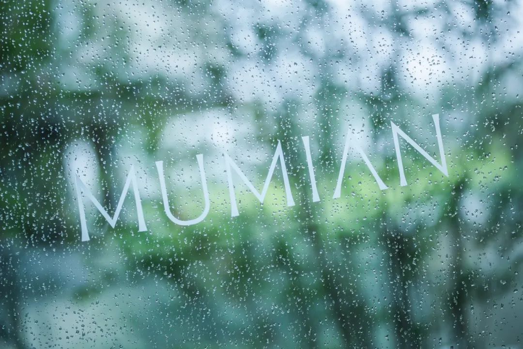 开门纳客丨东进新启航·木棉正当红-35