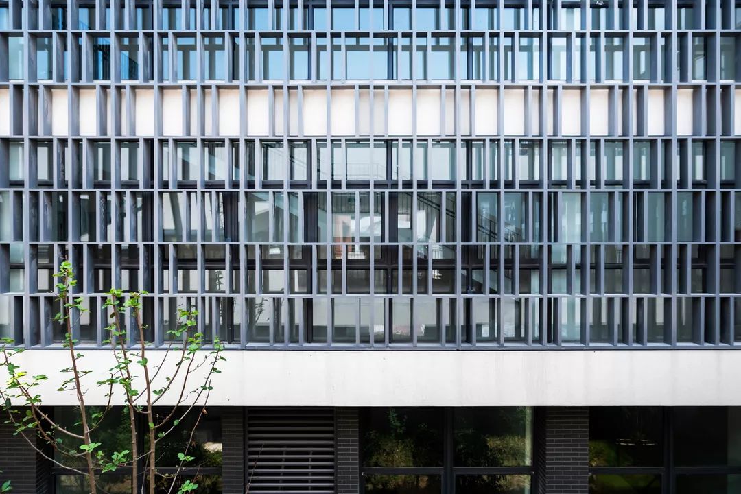 高新区实验初中锦峰路校区 | 智慧活力绿意盎然-54