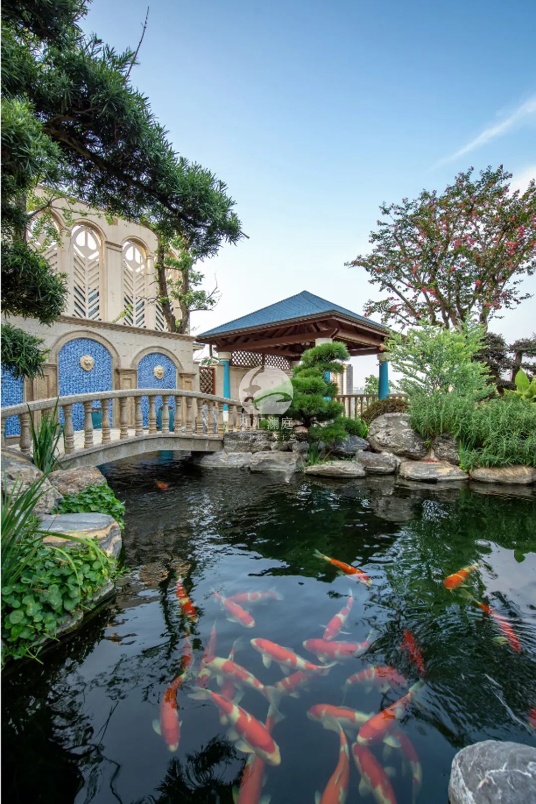 画龙点睛——庭院植物搭配解析-44