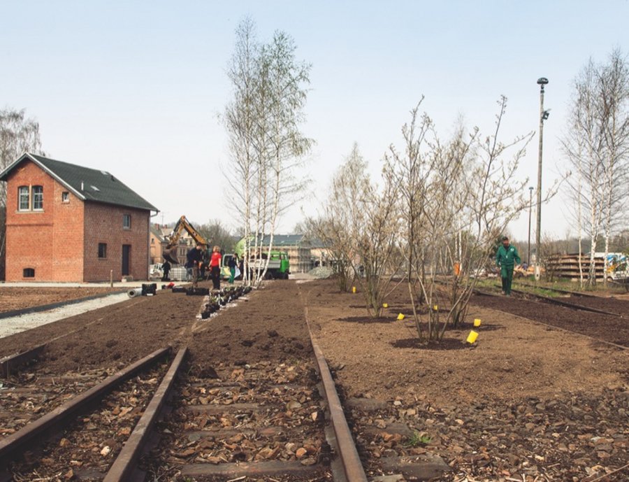 第7届萨克森州园艺展奥尔斯尼茨市民与家庭公园丨德国-12