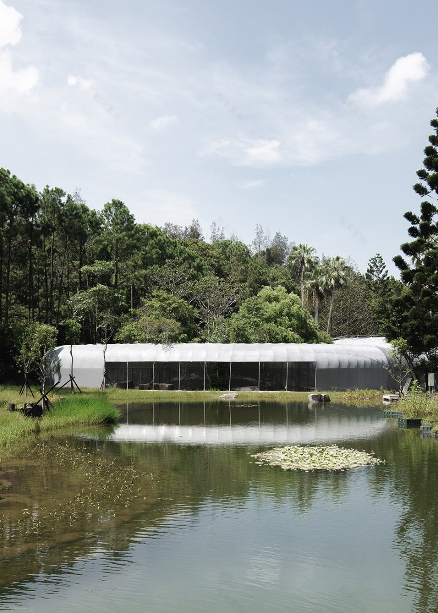 苗栗香格里拉乐园的生态奇观·勤美学森大-5