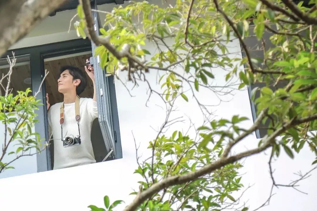 康盛装饰打造 600㎡自然森系空间-17