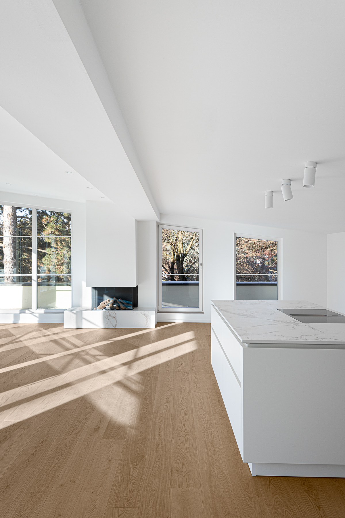 德国慕尼黑豪华顶层公寓设计丨brandhochzwei GmbH-4