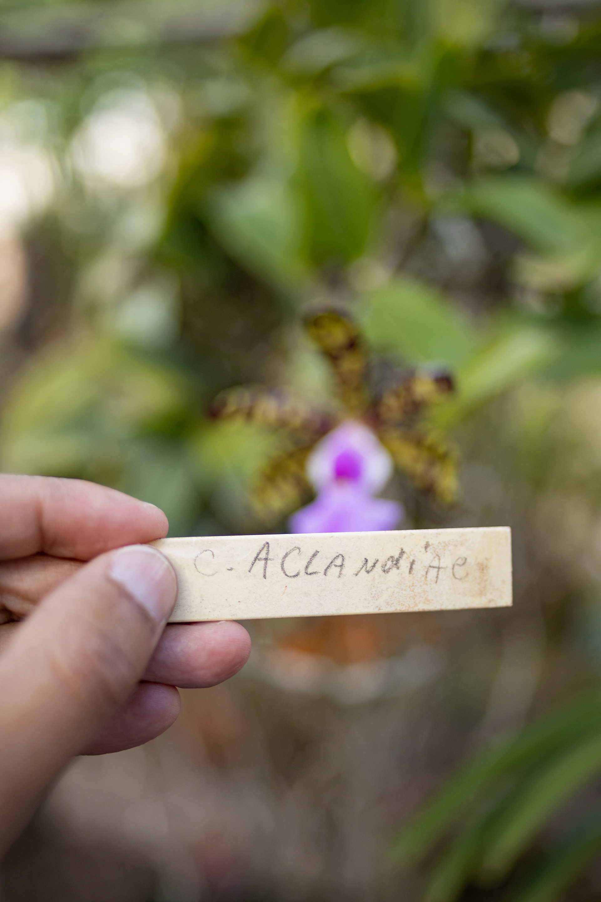 室内植物设计-31