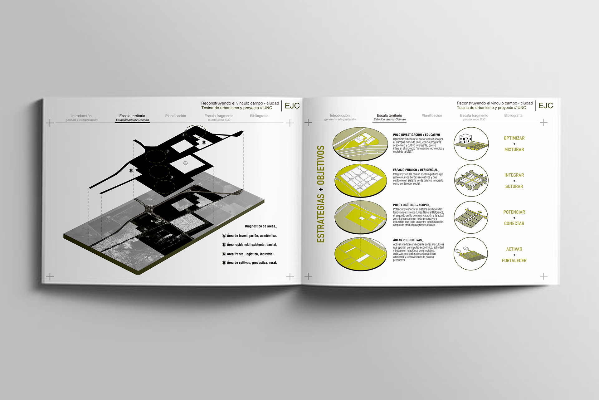 Tesis de grado 2025-1