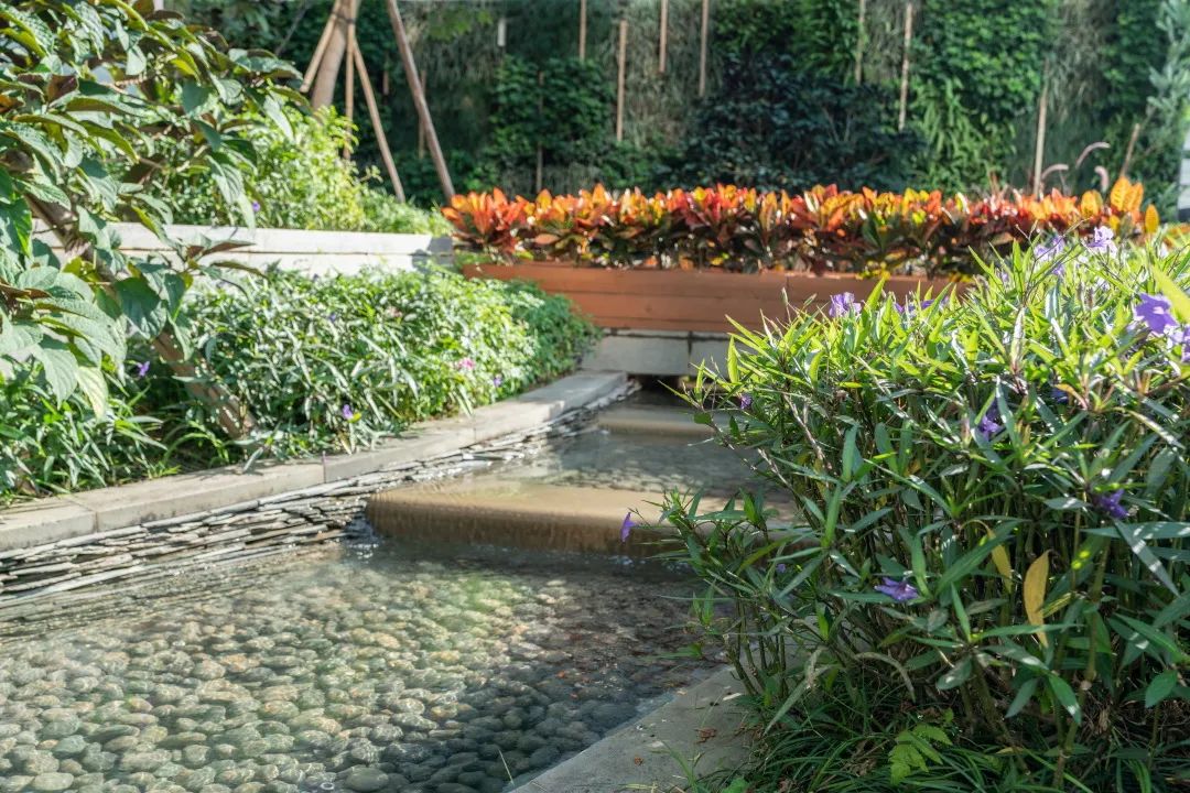 广州东塔(周大福金融中心)丨中国广州丨泰国P Landscape,普邦设计-51