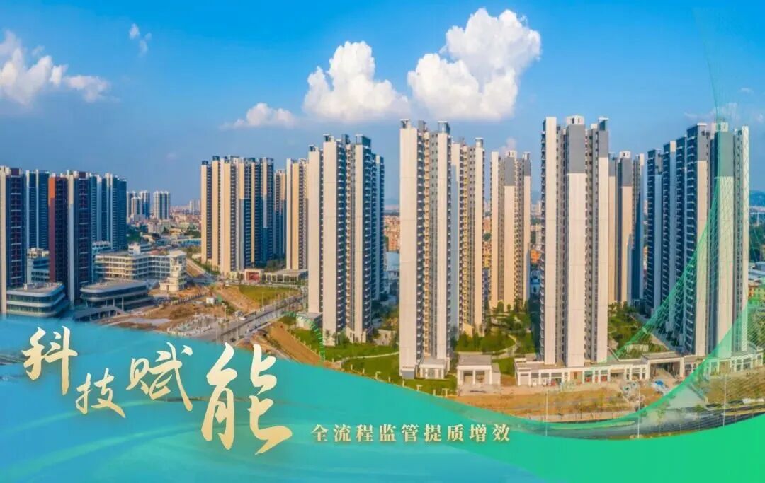 【建证·筑梦】建证“木棉花开”-17