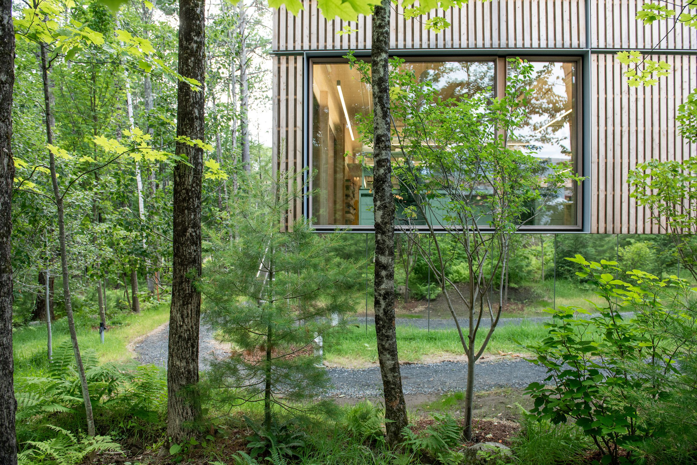 Adimab研究大楼丨黎巴嫩-19