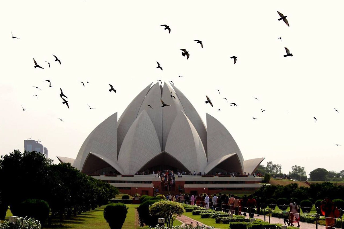 Shutter surpraaiise-8