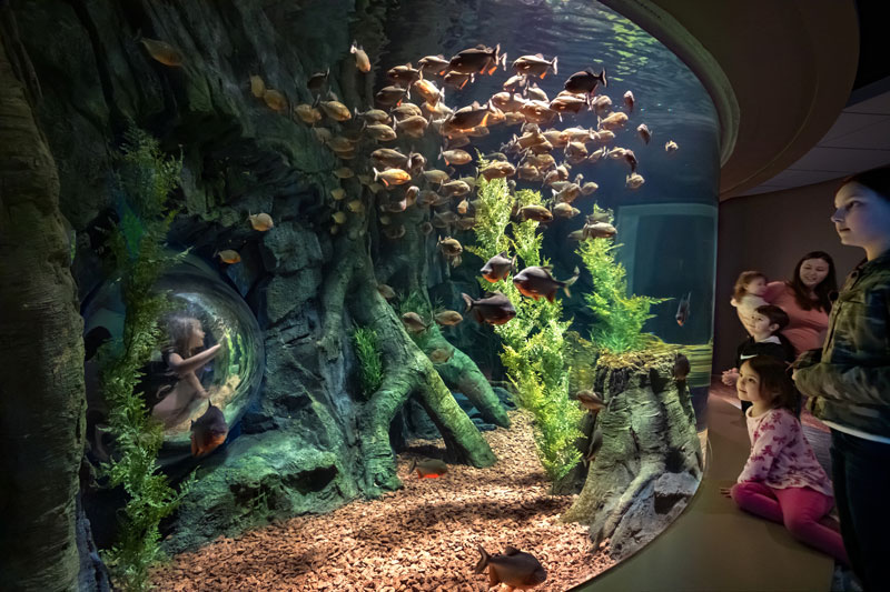 St· Louis Aquarium(圣路易斯水族馆)丨阿根廷圣路易斯-5