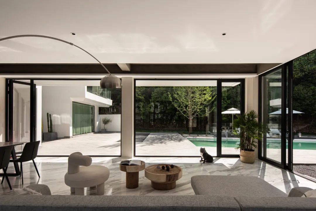 莫干山秘境杉林,尽享自然之美-54