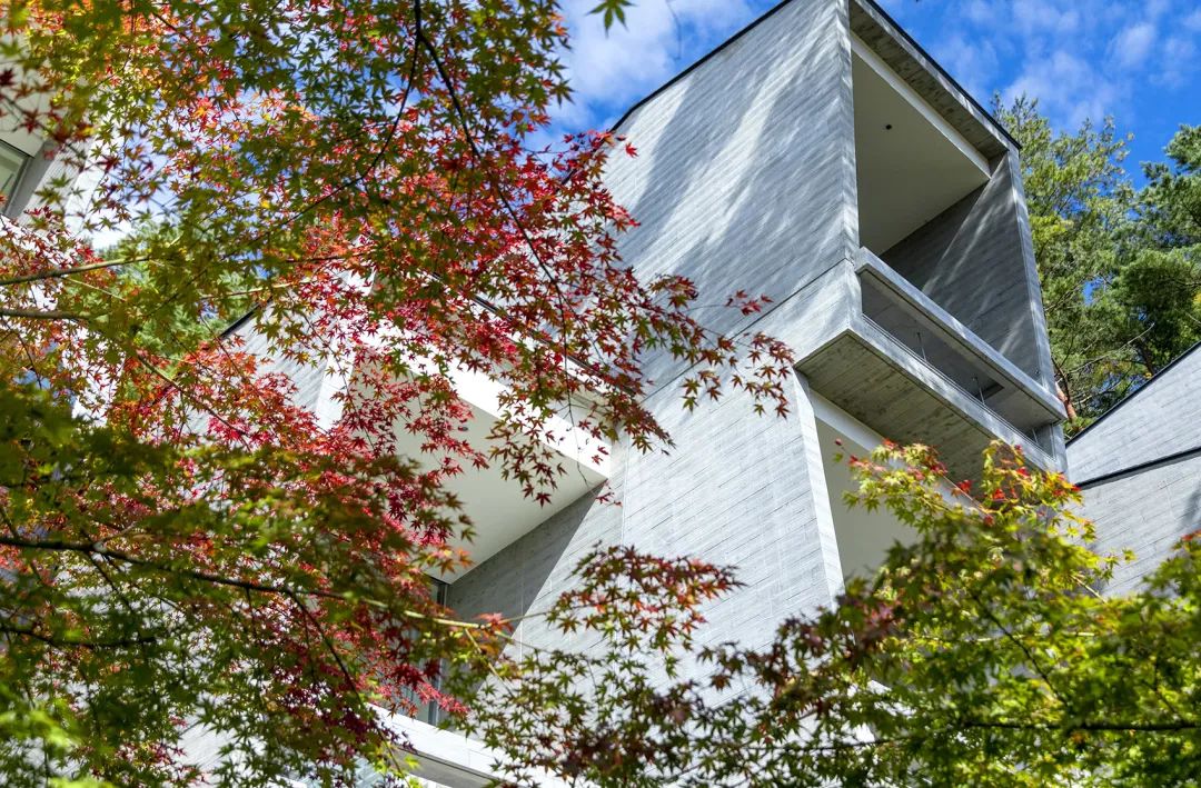 富士山“虹夕诺雅”度假酒店 | 感受自然之美-28