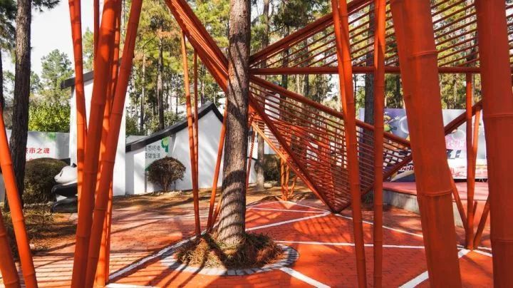 沈阳建筑大学“生长中的熊猫舞台” | 竹构与场地的共生设计-19
