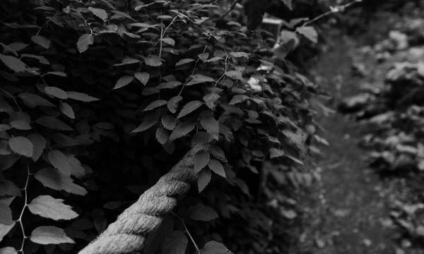 Шагни за горизонт:公园及滨水区域翻新丨俄罗斯丨Orchestra Design,巴什基尔城市与乡村发展研究所等-37