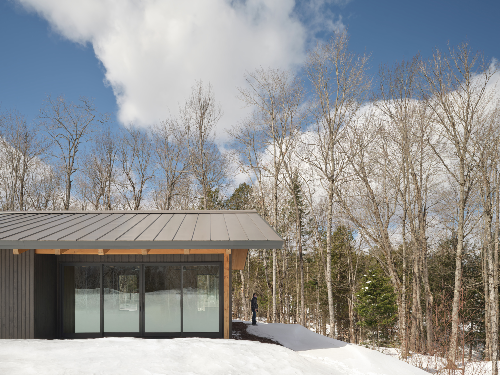 卡德韦尔会所丨加拿大丨Dubbeldam Architecture + Design-15